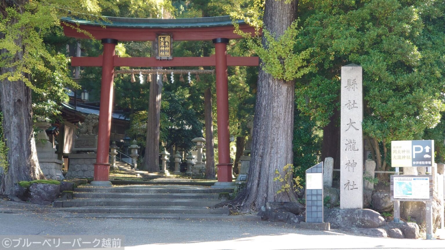 岡太神社・大瀧神社(福井県越前市)はどんなところ?最寄り駅(越前たけふ駅・武生駅)からの行き方や駐車場などを案内します ブルーベリーパーク越前